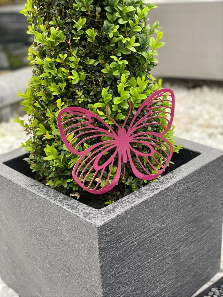 Schmetterling | LASER DESIGN WILLHELMSHAVEN
